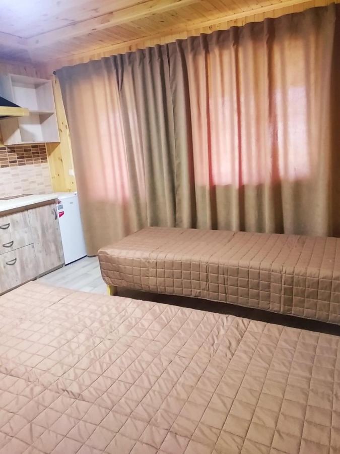 Hôtel Nikol à Svityaz' Extérieur photo