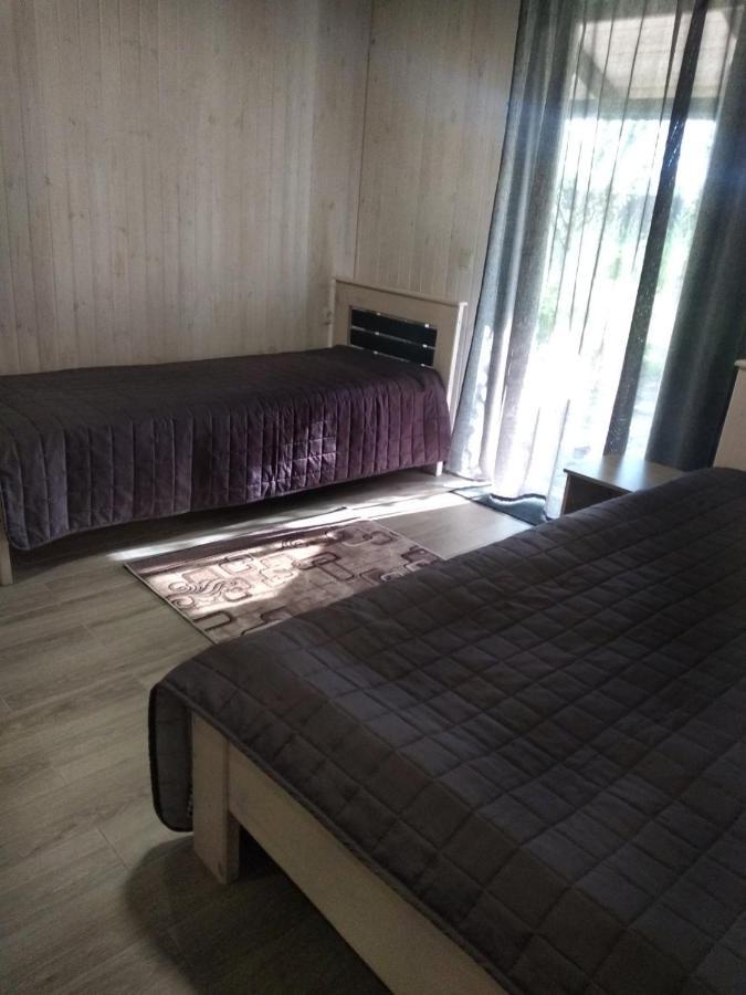 Hôtel Nikol à Svityaz' Extérieur photo